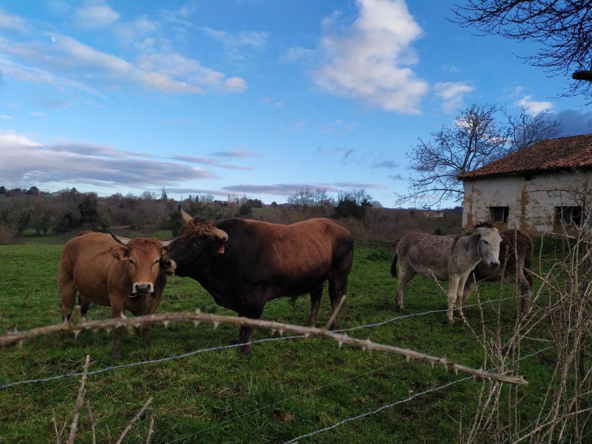 Gasthaus El Llagar - Sagasta Rural Oviédo Exterior foto