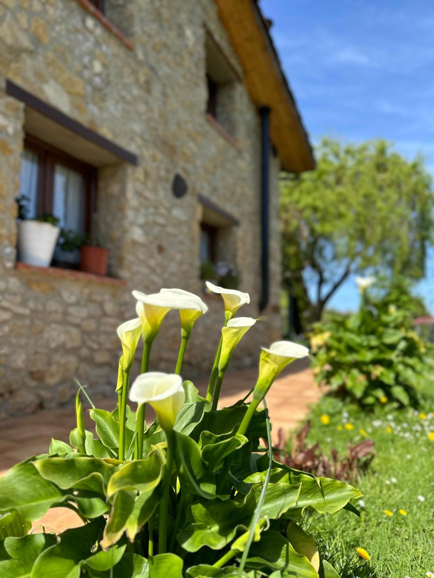 Gasthaus El Llagar - Sagasta Rural Oviédo Exterior foto