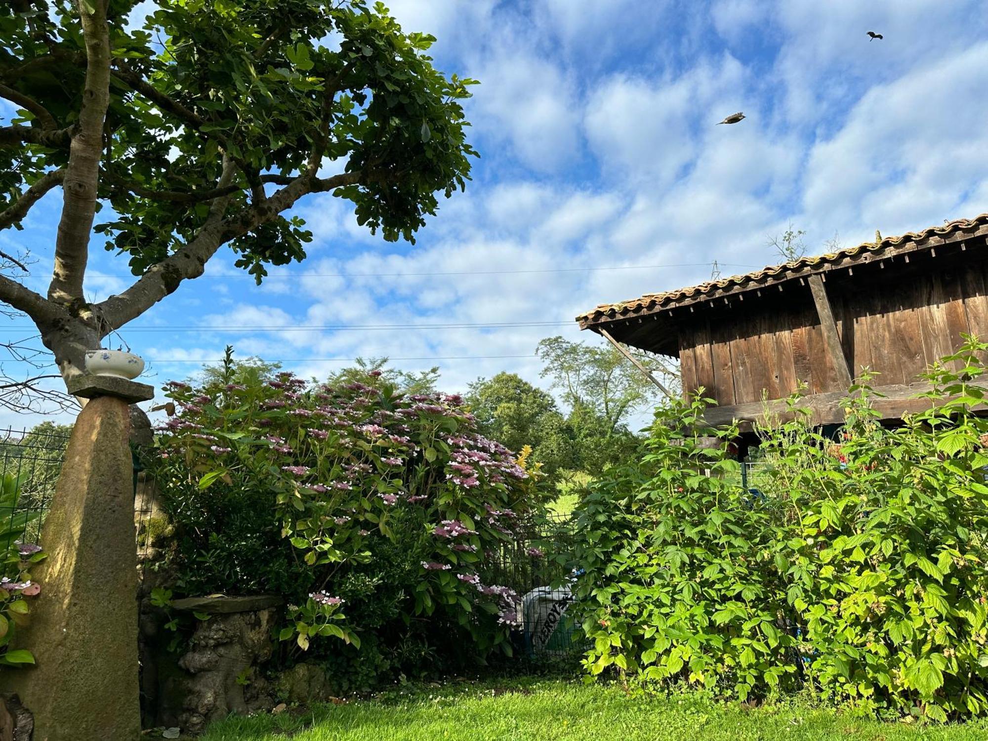 Gasthaus El Llagar - Sagasta Rural Oviédo Exterior foto
